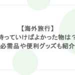 【海外旅行】持っていけばよかった物は？必需品や便利グッズも紹介
